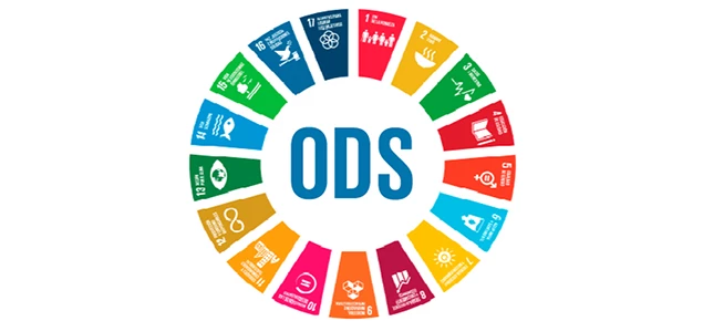 UN Sustainable Development Goals